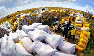 Philippines nhập gạo từ 2026, Indonesia dự trữ cao nhất 18 năm