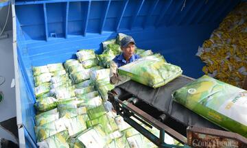 Tận dụng C/O: Chìa khóa nâng vị thế gạo Việt trên thị trường xuất khẩu