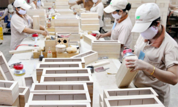 Đáp ứng xuất xứ hàng hóa: Lưu ý gì cho doanh nghiệp?