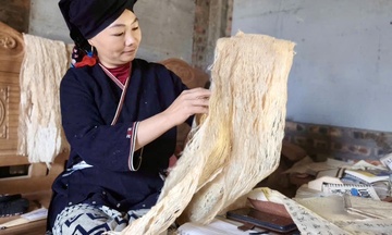 Giấy dó Cao Sơn: Mở cánh cửa giao thương từ di sản bản địa