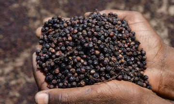 Quy tắc xuất xứ hàng hóa, chìa khóa ưu đãi FTA cho hồ tiêu Việt