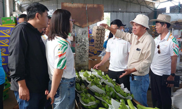 Gia Lai: Tái cơ cấu nông sản theo hướng thị trường