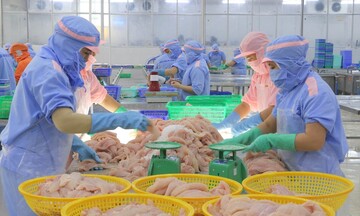 Cổng FTAP kết nối các chủ thể tham gia hệ sinh thái tận dụng FTA