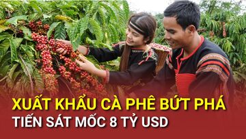 Xuất khẩu cà phê bứt phá, tiến sát mốc 8 tỷ USD