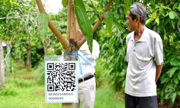 Quảng Ngãi: Ứng dụng AI vào kinh doanh hợp tác xã