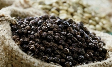 Infographic | 11 tháng, xuất khẩu hạt tiêu tăng mạnh hơn 24%