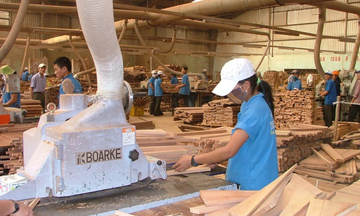 Quy tắc xuất xứ và hướng đi của hàng hóa TP. Hồ Chí Minh ra thị trường quốc tế