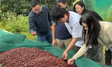 Doanh nghiệp quốc tế đánh giá Việt Nam là quốc gia số 1 về cà phê Robusta