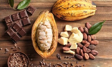 Giá ca cao giảm mạnh do lo ngại nguồn cung đã quay trở lại