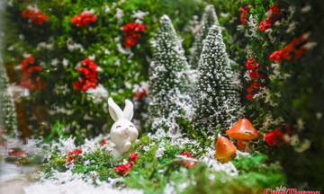 Tiểu cảnh khô lồng kính mùa Noel tạo sinh kế cho người khuyết tật