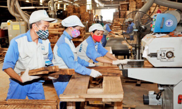 Vĩnh Long đồng hành cùng doanh nghiệp minh bạch C/O, xuất khẩu bền vững