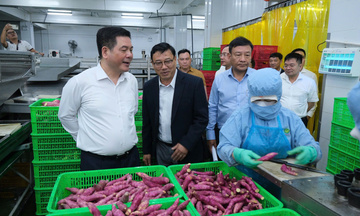 Lâm Đồng triển khai kịp thời việc cấp C/O trên hệ thống eCoSys