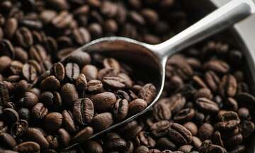 Yêu cầu xuất xứ khi xuất khẩu cà phê Việt Nam sang Bắc Âu 