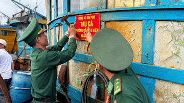 Quảng Ngãi: Siết chặt quản lý tàu cá, quyết liệt chống khai thác IUU