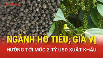 Ngành hồ tiêu, gia vị hướng tới mốc 2 tỷ USD xuất khẩu