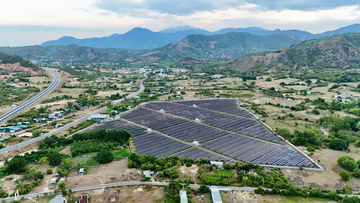 Khánh Hòa: Khánh thành Nhà máy điện mặt trời 87 MW 