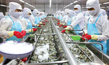 Minh bạch C/O: Giữ uy tín và ưu đãi thuế cho thủy sản Cà Mau