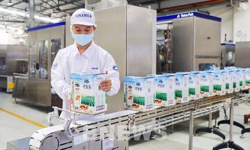 Chứng nhận xuất xứ: Nâng tầm sữa Việt tại thị trường ngoại