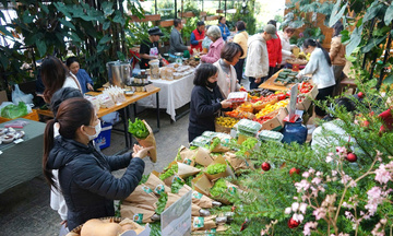 Lâm Đồng: Minh bạch nguồn gốc sản phẩm nông nghiệp