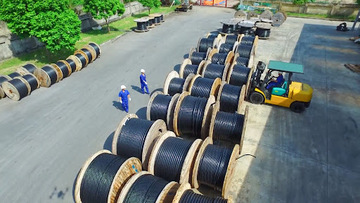 Dây điện, cáp điện mở rộng thị trường nhờ ưu đãi xuất xứ