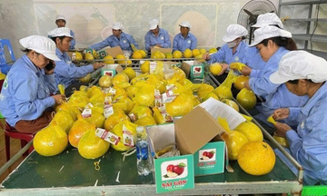 Quy tắc xuất xứ với nông sản và thủy sản trong bối cảnh hội nhập sâu