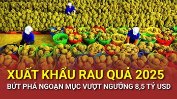 Xuất khẩu rau quả 2025 bứt phá ngoạn mục vượt ngưỡng 8,5 tỷ USD