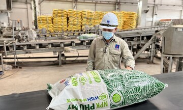 Xuất khẩu phân bón dùng C/O đạt 186,9 triệu USD sau 11 tháng 2025