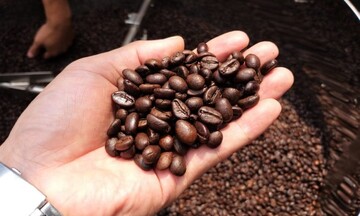 Xuất khẩu cà phê lập kỷ lục, giá trong nước bước vào nhịp điều chỉnh