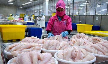 Chuẩn bị sớm để vượt chuẩn C/O, tận dụng tốt FTA mới