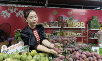 Con đường phân phối quyết định sức bật thương hiệu Việt