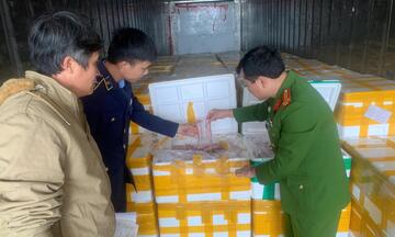 Thanh Hóa: Phát hiện 10 tấn cá khoai dùng chất cấm formol để bảo quản