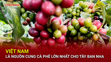 Việt Nam là nguồn cung cà phê lớn nhất cho thị trường Tây Ban Nha
