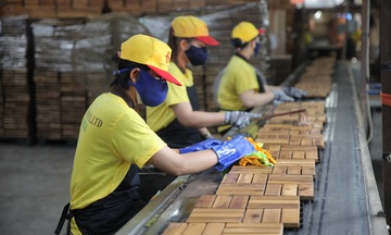 'Đường cao tốc' mới cho xuất khẩu gỗ Việt Nam