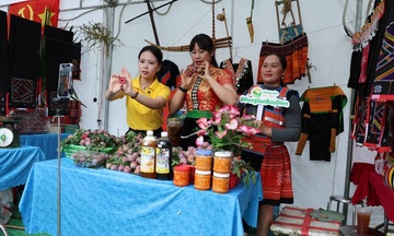 Sơn La đẩy mạnh xúc tiến tiêu thụ nông sản trên sàn thương mại điện tử