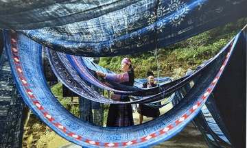 Di sản văn hóa Việt Nam - Sức sống từ truyền thống đến hiện đại