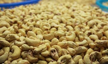 Kim ngạch xuất khẩu hạt điều tăng mạnh nhờ giá bán tăng cao