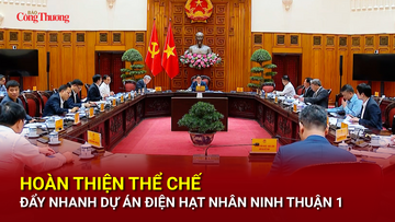 Hoàn thiện thể chế, đẩy nhanh dự án điện hạt nhân Ninh Thuận 1