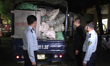 Ninh Bình: Phát hiện, buộc tiêu hủy hơn 3 tấn xương không rõ nguồn gốc