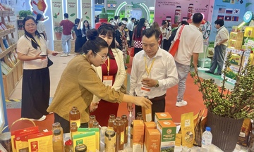 Xúc tiến thương mại mở lối cho nông sản Gia Lai vươn xa