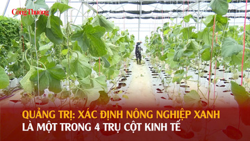 Quảng Trị: Xác định nông nghiệp xanh là một trong 4 trụ cột kinh tế