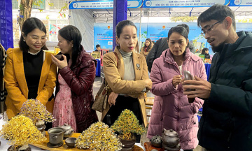 Thành phố Huế: Đẩy mạnh kết nối, tiêu thụ hàng hóa cuối năm