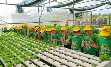 Đà Nẵng: Phát triển sản phẩm OCOP gắn với du lịch nông thôn