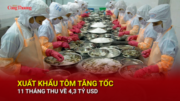 Xuất khẩu tôm tăng tốc, 11 tháng thu về 4,3 tỷ USD
