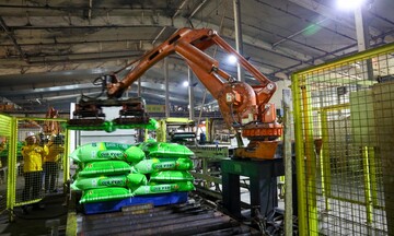 Thị trường phân bón 2025: Giá xuất khẩu đi lên, nhập khẩu chững lại