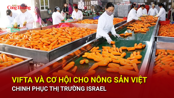 VIFTA và cơ hội cho nông sản Việt chinh phục thị trường Israel