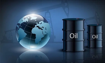 Sau nhịp giảm, thị trường dầu vào giai đoạn ổn định hơn