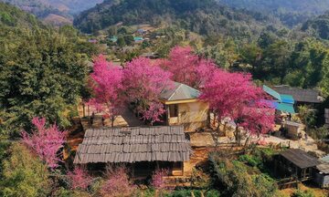 Nghệ An kích cầu thương mại, dịch vụ dịp tết Dương lịch