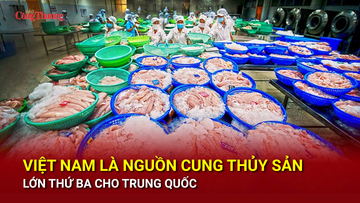 Việt Nam là nguồn cung thủy sản lớn thứ ba cho Trung Quốc