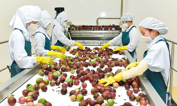 Chuyên gia Hoàng Trọng Thủy: Xuất xứ hàng hóa đóng vai trò 'mỏ neo' trách nhiệm cho từng sản phẩm