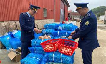 Lạng Sơn: Xử lý hơn 5.000 vụ buôn lậu, gian lận thương mại năm 2025